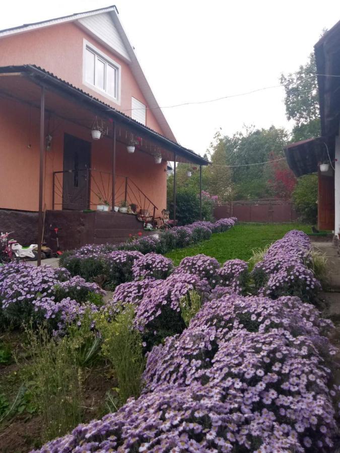 Hotel Gostynnyi Dvir U Marichky Lazeshchyna Exterior foto
